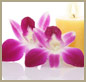 Beauty in Harmony offers relaxing, revitalising and a restorative experience 